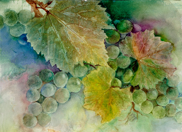 Grapes II • Blue-green